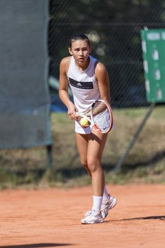 Bild 255 - Klippeldon